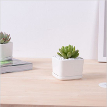 Square White Flower Pot Containing Base