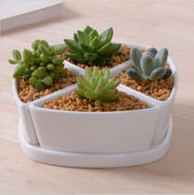 White Ceramic Flowerpot with Triangular Shaped Base Assorted Cold Dishes