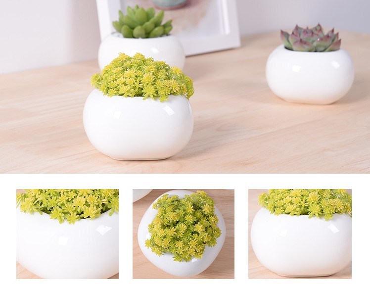Mini Desktop Mini Ceramic Flowerpot