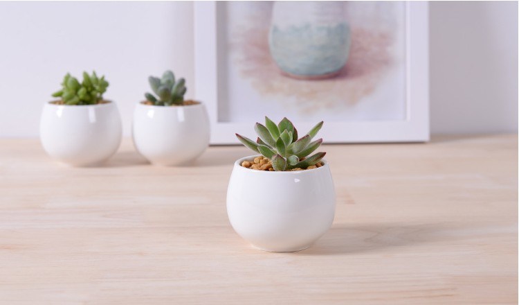 Creative Miniature Square White Ceramic Flowerpot