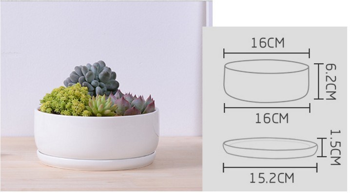 Circular Base with Large White Ceramic Flowerpot