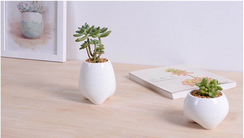 Ceramic Ivory Small Tooth Shaped White Flowerpot