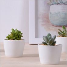 Decorative Mini White Ceramic Flower Pots Round