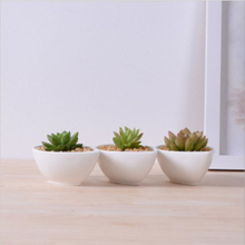Adornment Characteristic Personality Desktop Small White Flowers Pot