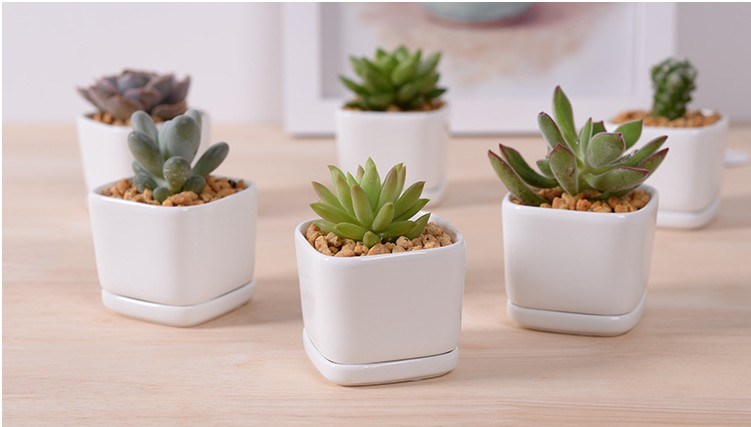 Personality Fashion Ceramic White Porcelain Base Flowerpot