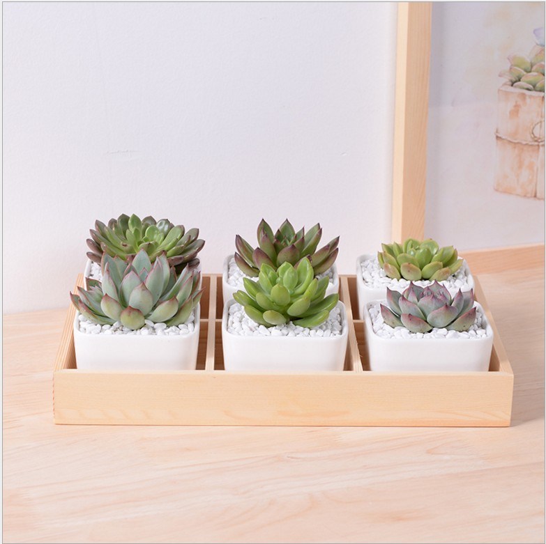 Desktop Cafe 6 Wooden Base Ceramic Flower Pot Lattice